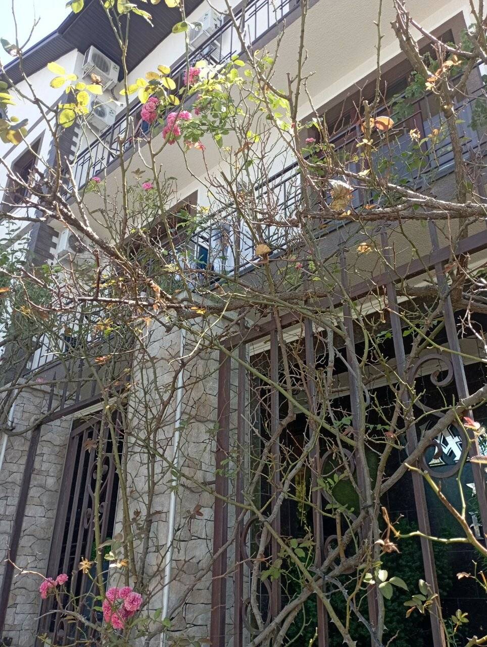 Фото Гостиницы Вавилон Геленджик 47